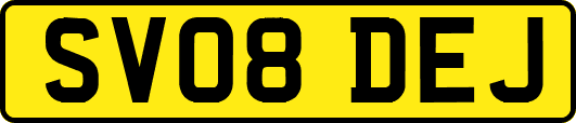 SV08DEJ