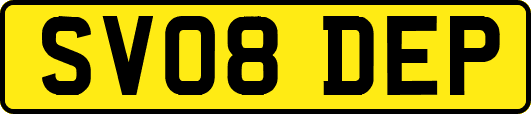 SV08DEP