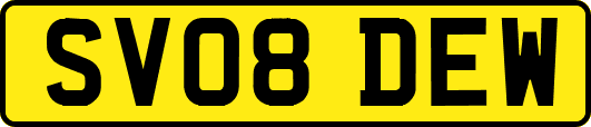 SV08DEW