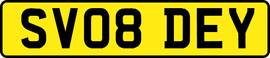 SV08DEY