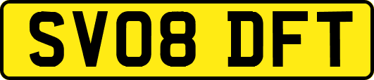 SV08DFT