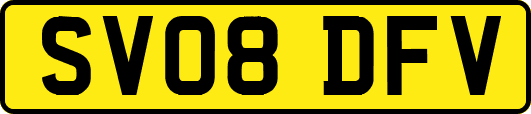SV08DFV
