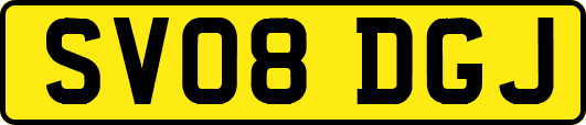 SV08DGJ