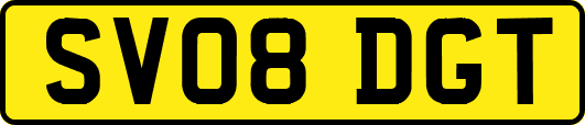 SV08DGT
