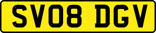 SV08DGV
