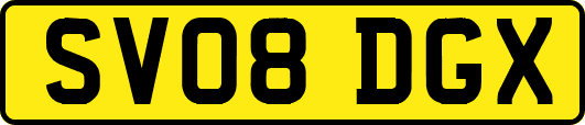 SV08DGX