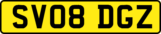 SV08DGZ