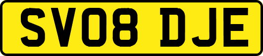 SV08DJE
