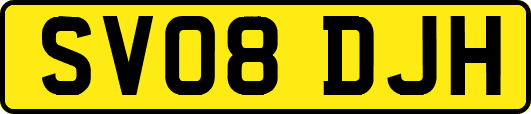 SV08DJH