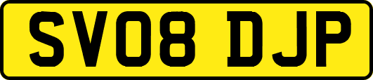 SV08DJP