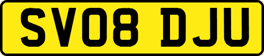 SV08DJU