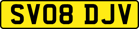 SV08DJV