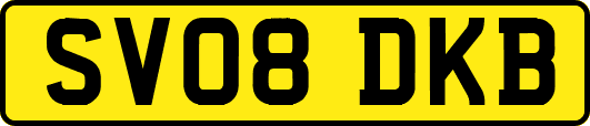 SV08DKB