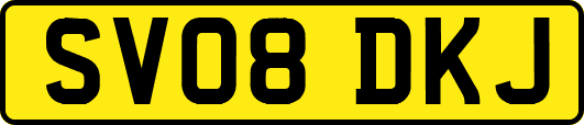 SV08DKJ
