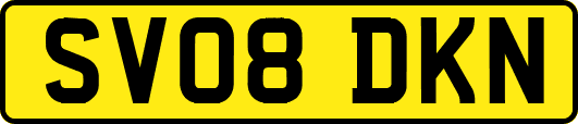 SV08DKN