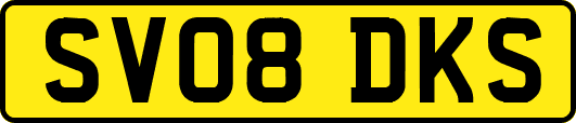 SV08DKS