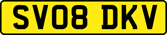 SV08DKV