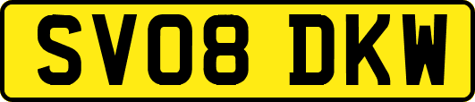 SV08DKW