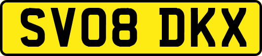 SV08DKX