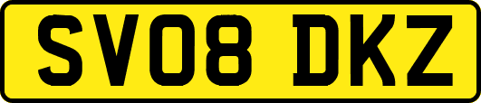 SV08DKZ