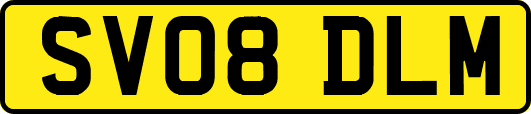 SV08DLM