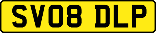 SV08DLP