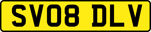 SV08DLV