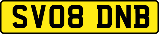 SV08DNB