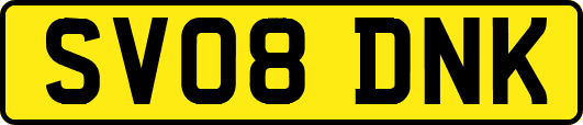 SV08DNK