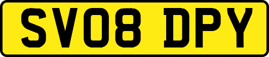 SV08DPY