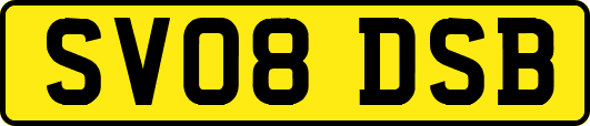 SV08DSB