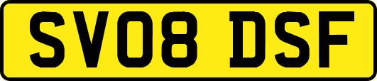 SV08DSF