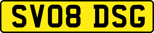 SV08DSG