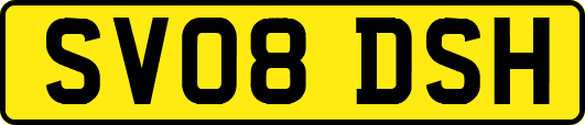 SV08DSH