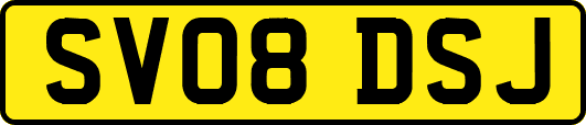 SV08DSJ
