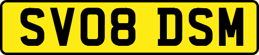 SV08DSM