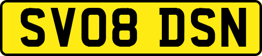 SV08DSN