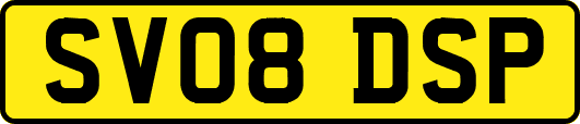 SV08DSP