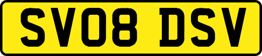 SV08DSV