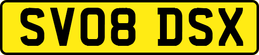 SV08DSX