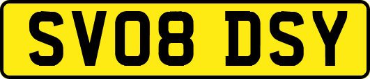 SV08DSY