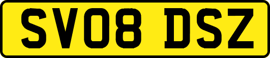 SV08DSZ