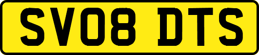 SV08DTS