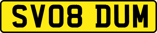 SV08DUM