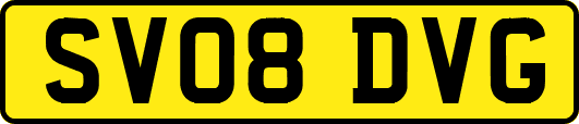 SV08DVG