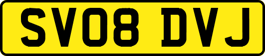 SV08DVJ