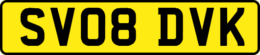 SV08DVK