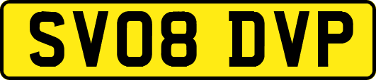 SV08DVP
