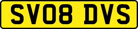 SV08DVS