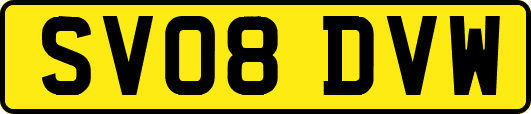 SV08DVW